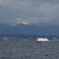 299-3.jpg