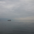 303-3.jpg