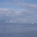 304-1.jpg