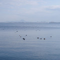 305-1.jpg