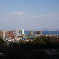 306-1.jpg