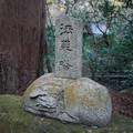306-2.jpg