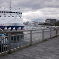 307-1.jpg