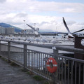 307-2.jpg