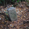 308-2.jpg