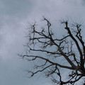 344-3.jpg