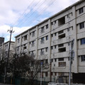 346-2.jpg