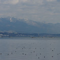 347-3.jpg