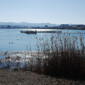 351-2.jpg