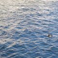 352-3.jpg