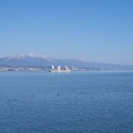 354-1.jpg
