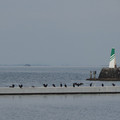 355-1.jpg