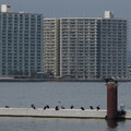 355-2.jpg