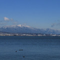 359-1.jpg