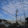 366-3.jpg