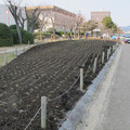 369-3.jpg