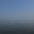 370-1.jpg