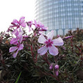 370-2.jpg