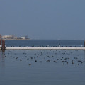 371-2.jpg