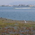372-1.jpg