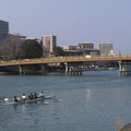 373-3.jpg