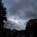 374-3.jpg