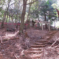 410-2.jpg