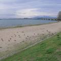 423-1.jpg