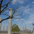 426-2.jpg