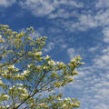 426-3.jpg