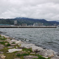 433-3.jpg