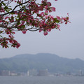 436-2.jpg