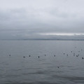 439-3.jpg