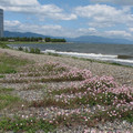 475-3.jpg