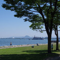 476-3.jpg