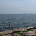 479-3.jpg