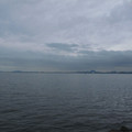 482-1.jpg