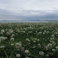 482-2.jpg