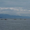 482-3.jpg