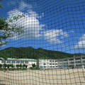 483-1.jpg