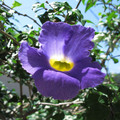 483-3.jpg