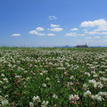 484-2.jpg