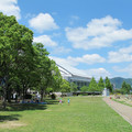 484-3.jpg
