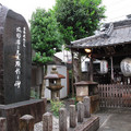 489-3.jpg