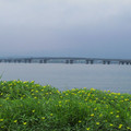 490-2.jpg