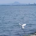 491-2.jpg