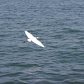 491-3.jpg