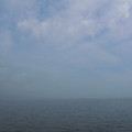 493-1.jpg