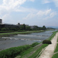 493-2.jpg