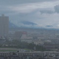 494-1.jpg